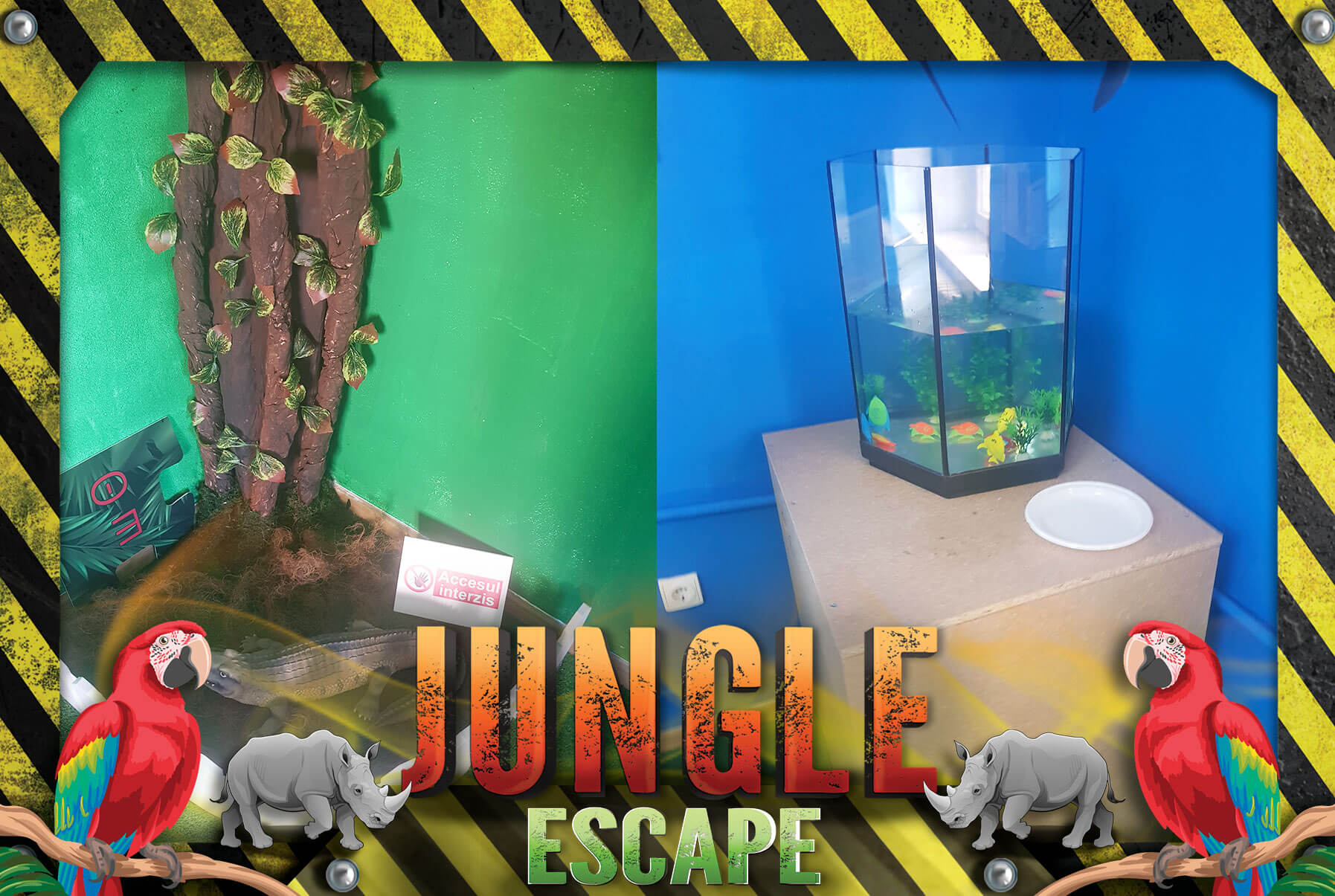 jungle8